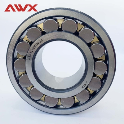 Đồ xách cuộn hình cầu hai hàng cho các ứng dụng hạng nặng 22310MB/W33